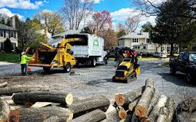 Best Utility Line Clearance  in Powderly, TX
