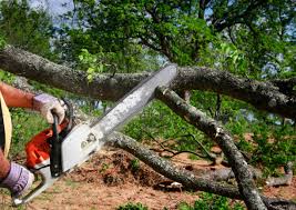Best Landscape Design and Installation  in Powderly, TX