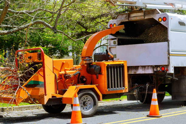 Best Utility Line Clearance  in Powderly, TX