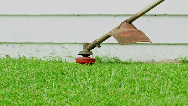 Best Hedge Trimming  in Powderly, TX